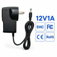 Adaptateur secteur mural OEM homologué FCC avec protection contre les surtensions 12V 1A 12W AC/DC pour commutateur réseau