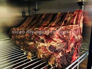 SICAO 500 Ar Pendingin Kabinet Steak Kering Komersial Hotel Rumah Bbq Daging Sapi Mini Penuaan Kering Kulkas Tersedia