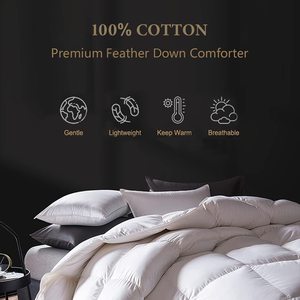 Cao Cấp Vịt Lông Xuống <span class=keywords><strong>Comforter</strong></span> Sang Trọng 100% Cotton Ấm Áp Thoáng Khí Chăn Core Tất Cả Các Mùa - Product Image 2