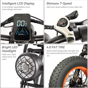 Bicicleta Eléctrica de Carretera de Largo Alcance con Motor sin Escobillas de 350W, Cuadro de Aluminio con Suspensión Completa, 48V 624Wh DP-1601, Sistema de 7 Velocidades - Product Image 6