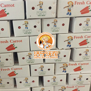 <span class=keywords><strong>2025</strong></span> <span class=keywords><strong>New</strong></span> Crop cà rốt bán buôn tươi màu Đỏ cà rốt - Product Image 2