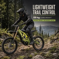 Moto électrique tout-terrain Surron Light Bee X 72V 35Ah avec batterie au lithium pour adulte