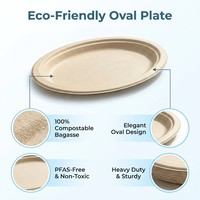 Assiettes en bagasse de qualité supérieure 100 % naturelles, ovales, jetables, résistantes à la graisse, pour gâteaux, collations et fêtes