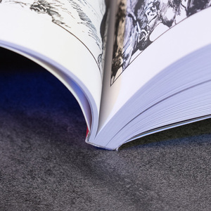Impression de mangas et de bandes dessinées avec couverture brillante personnalisée, reliure parfaite, pages intérieures en couleur, roman graphique - Product Image 3