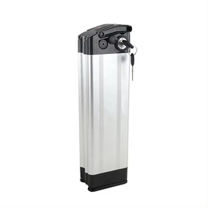 MJXN Silver Fish-2 E-Bike <b>Battery</b> 500W <b>24V</b> 36V 48V 13AH Rechargeable Lithium <b>Battery</b> with BMS - Product Image 1