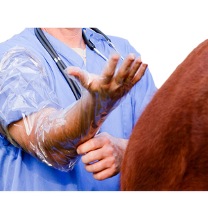 Guantes de mano A.I Guante Para <span class=keywords><strong>Inseminar</strong></span> Bovino Guantes veterinarios largos de brazo completo - Product Image 1