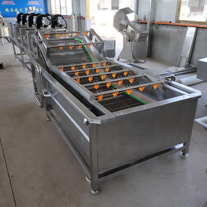 Lavadora Automática Comercial para Frutas, Verduras y Otros Productos - Product Image 2