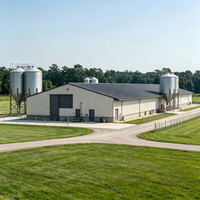 Conception de bâtiment en structure métallique pour l'élevage de poulets de chair avec système de plancher, entrepôt agricole et hangar de construction