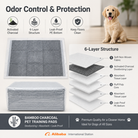 Almohadillas Absorbentes para Mascotas de Carbón de Bambú PE Ecológicas OEM ODM, Marca Privada, Logotipo Personalizado, Embalaje con Control de Olores, Almohadillas para Cachorros, Limpieza