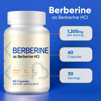Capsules de berbérine HCL de haute qualité certifiées Solilan, compléments alimentaires pour adultes pour l'immunité, marque privée, 60 unités, 2 capsules par jour
