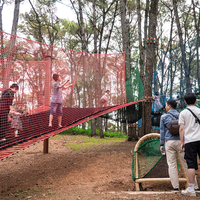 Grande structure de jeu en filet pour arbre, équipement de trampoline commercial extérieur, parcours d'aventure pour enfants, tunnel d'escalade, fourniture d'usine Netstribe