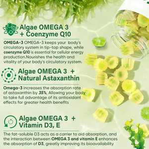 Mayorista Personalizado Adultos Aceite de Algas Omega-3 Gomitas EPA DHA Suplementos PARA LA Salud DE LOS Huesos DE LOS Ojos Vitamina Coenzima Q10 Caramelo de Goma - Product Image 3