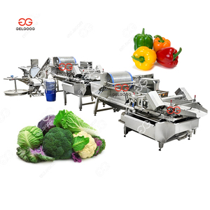 Machine de nettoyage à pulvérisation d'eau sous pression continue pour fruits et légumes, capacité de lavage 15 000 kg - Product Image 3