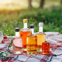 Botol anggur buah kaca buram transparan 50-1000ml kosong dengan steker gabus di ATAU sekrup pada bukaan tersedia