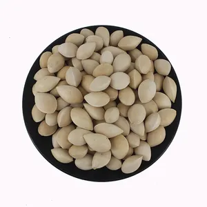 Giá bán buôn chất lượng tốt số lượng lớn hữu cơ khô Ginkgo Nuts 100% tinh khiết cao cấp chất lượng Ginkgo Nuts