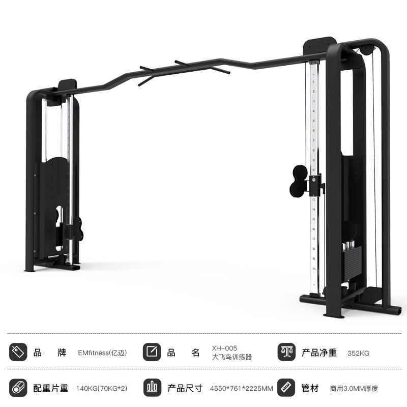 XH-005-High-End Version of Big Flying Bird