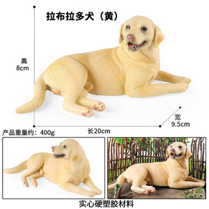 Modèle de simulation animale pour enfants yxs, jouet solide et grand Labrador Retriever, figurine cognitive de chien Corgi <span class=keywords><strong>Pomeranian</strong></span> - Product Image 2
