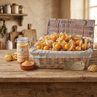 Poudre d'Aguaymanto de qualité alimentaire Pure Harvest pour la fabrication de produits alimentaires, mélanges de boissons, produits nutritionnels, 5 kg, pot en plastique