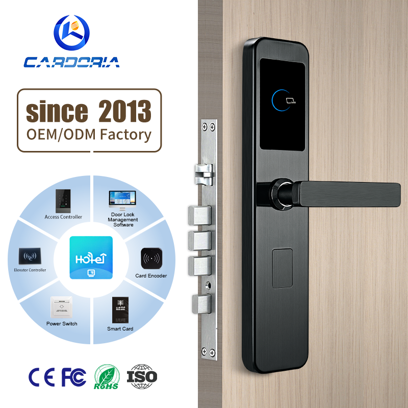 Stainless Steel 304 Digital Smart Door