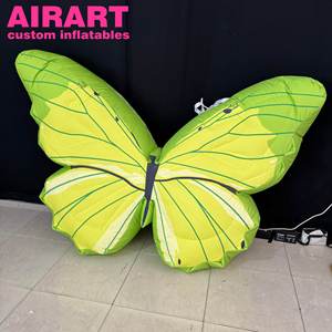 Beau <span class=keywords><strong>papillon</strong></span>, <span class=keywords><strong>papillon</strong></span> gonflable, <span class=keywords><strong>papillon</strong></span> gonflable vert pour décorer les gonflables <span class=keywords><strong>papillon</strong></span> gonflables - Product Image 4