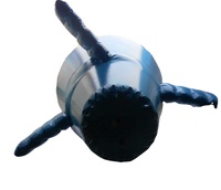 Avion gonflable 2021 fait sur mesure pour faire de la publicité, grand avion