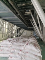 Moteur de machine à moudre le grain électrique haute performance pour le blé et le maïs, système industriel sans poussière et efficace