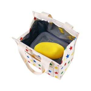 Portable Lightweight Durable Colorful Eco-friendly Insulated Anti-Theft Adjustable Strap Kids Lunch <b>Bag</b> Polyester Lining - Product Image 5