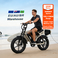 Vélo de route électrique 2026 BR Stock, cadre en alliage d'aluminium, pneus larges, batterie lithium 48V 250W, moteur moyeu arrière, 7 vitesses, hybride adulte