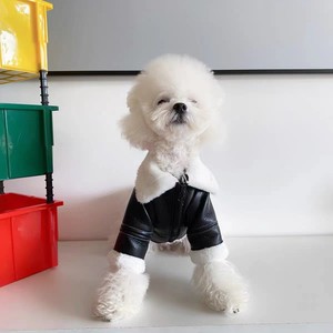 Magnifique veste d'hiver en cuir pour animaux de compagnie, noire, coupe-vent, pour chiens de petite et moyenne taille, Bichon Schnauzer, bouledogue français, Teddy Dog - Product Image 4