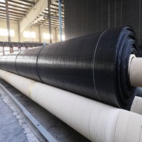 Rouleau de toile géotextile en PP tissé et PE, maille de couverture de sol anti-mauvaises herbes, pour contrôle des adventices et protection contre la boue, en tissu PP noir