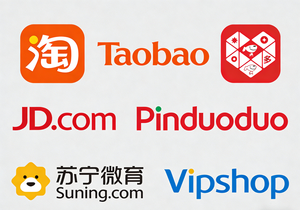 โซลูชั่นการช้อปปิ้งออนไลน์ระดับโลก 1688/ตัวแทนจัดซื้อสินค้า Taobao กวางโจว จีน บริการขนส่งและพิธีการศุลกากร - Product Image 3