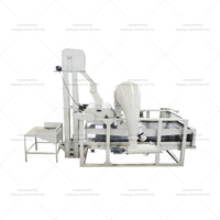 Machine à décortiquer les graines de citrouille de graines de melon de noix de pin petite décortiqueuse de sarrasin Sacha Inchi décortiqueuse de graines de tournesol à vendre