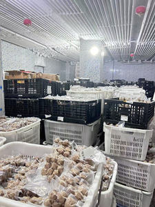 Polpette di carne di manzo congelate con cibo cinese certificato ISO popolare - Product Image 6