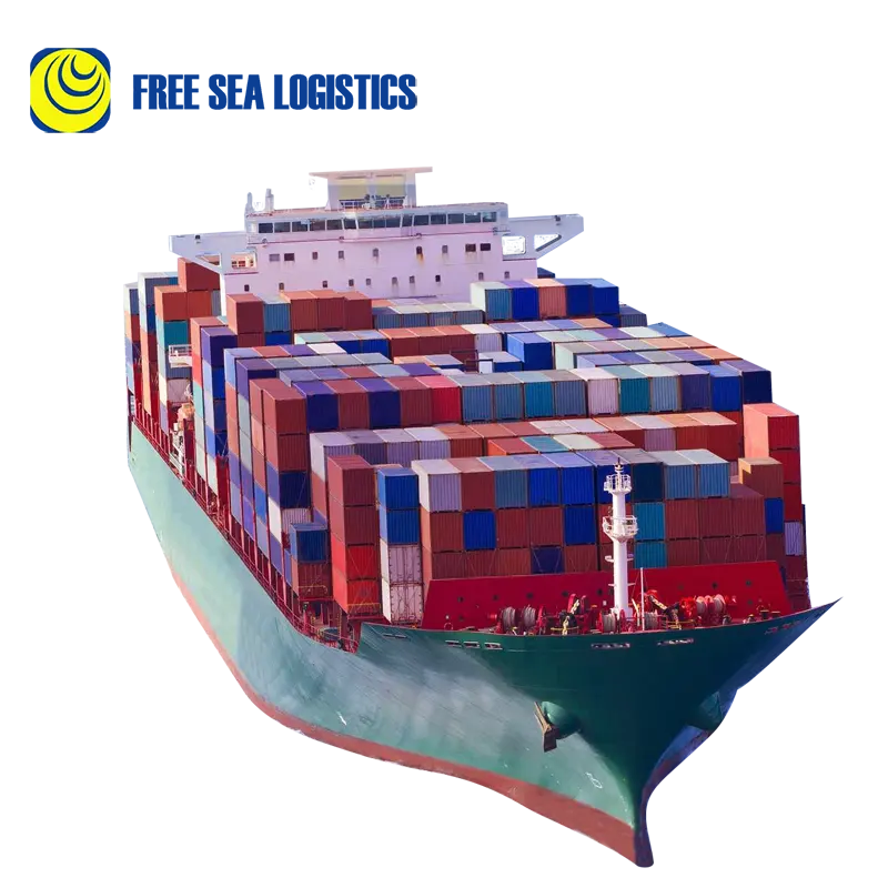Frete marítimo porta a porta barato e rápido para a Indonésia para venda de contêineres usados, preço especial comum 20GP