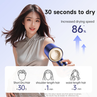 Sèche-cheveux professionnel 1600W pour salon, ionique, puissant, avec buse diffuseur, séchage rapide en une étape, pour hôtel, extérieur, camping-car, garage, tension universelle