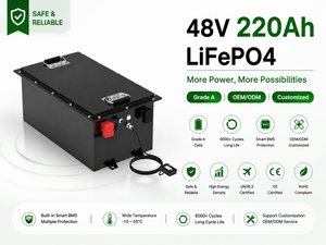 Paquete de Baterías de Litio de 48V/51.2V 220Ah 11.264KWh 1C 51.2V 220Ah con Monitoreo SOC para Respaldo Solar Industrial OEM LFP48200 - Product Image 5