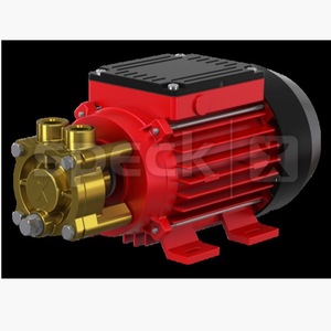 Speck <b>Pump</b> <b>Electric</b> Low Pressure <b>Water</b> Industrial Use Germany Made - Product Image 3