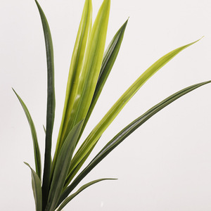 Hojas de Orquídea Artificiales QIHAO 57017, Alta Simulación, Decoración para el Hogar, Material de Película Verde - Product Image 4