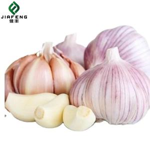 Semillas de <span class=keywords><strong>Ajo</strong></span> Frescas Orgánicas de Shandong con Piel Morada y Múltiples Capas - Product Image 2