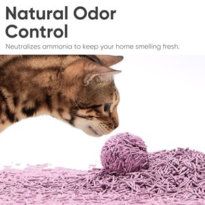 Litière pour chat en tofu floral en gros 3,0 mm, contrôle des odeurs, agglomération rapide, sable pour chat OEM ODM - Product Image 4