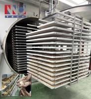 Automatische PLC-gestuurde commerciële vacuümvriesdroger van roestvrij staal 304 met tandwiel & lager voor het drogen van groenten