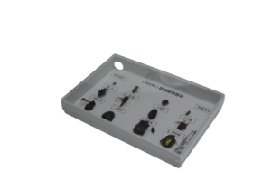 Espécimes Científicos Educacionais: Insetos Benefícios e Pragas para Educação Cognitiva sobre Insetos, Espécime de Inseto Verdadeiro (Minhoca), Ecológico - Product Image 6