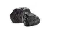 Résine Shilajit Offre Spéciale de qualité supérieure Liquide Shilajit de l'Himalaya pur