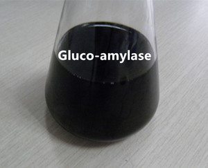 Meilleur prix pour l'enzyme glucoamylase en vrac pour la vente en gros - Product Image 1