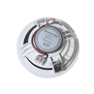 M rạp hát tại nhà 2*20W 8 ohm wifi không dây hoạt động loa màu xanh răng loa trần được xây dựng trong lớp D khuếch đại - Product Image 2