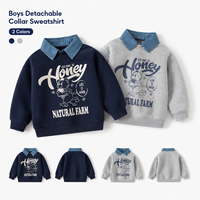 Sudadera de Oso con Cuello Desmontable para Niños, Moda Infantil, Mezcla de Algodón, Manga Larga, Estilo Casual Otoñal, Venta al Por Mayor