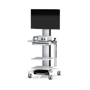 YKD-9001 Led Geïntegreerde Fhd Medische Video Endoscopie Apparatuur Ikeda Laparoscopische Camera Laryngoscoop Endoscopie Metaal Ce - Product Image 3