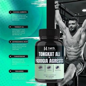 Cápsulas de Tongkat Ali de Marca Privada OEM/ODM para Mejorar la Energía y el Sistema Inmunológico Masculino, Cápsulas de Tongkat Ali para el Control de la Energía - Product Image 3