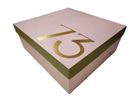 Organizador de Zapatos Rígido con Tapa y Base, Color Rosa, para Guardar Calcetines, Ropa de Piel y Prendas de Vestir, Personalizable