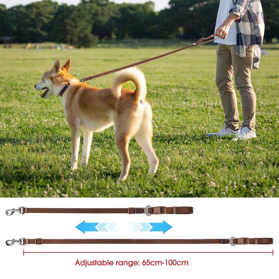 Luxury Soft Reinforced Nylon Heavy Duty Dog Leash with Padded ...